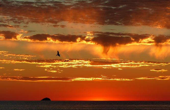 EFY.es Models in Ibiza